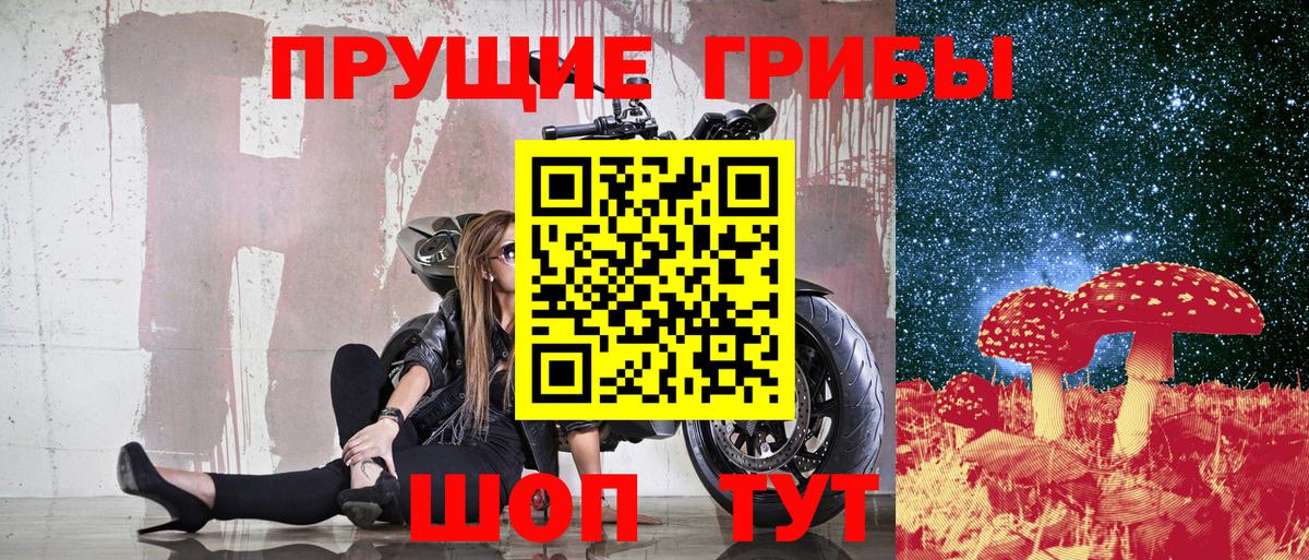 Галлюциногенные грибы Psilocybe Белгород